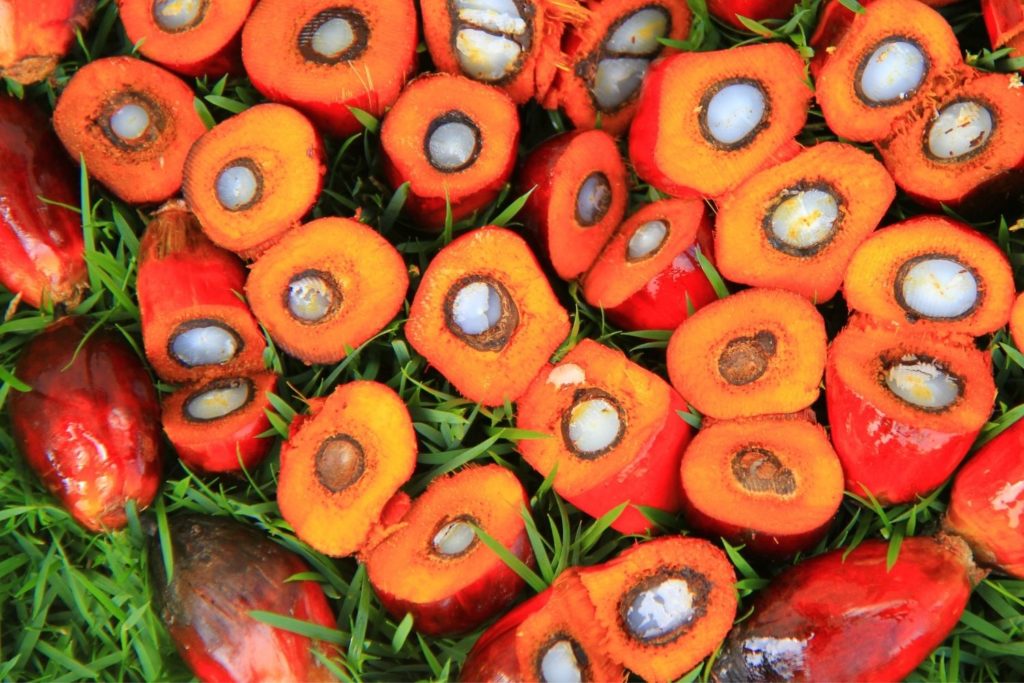 huile-vegetale-palme-huile-vegetale