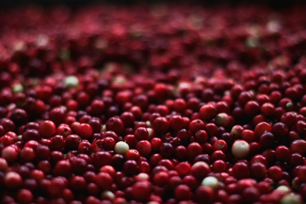 aliment-cranberries-aliment
