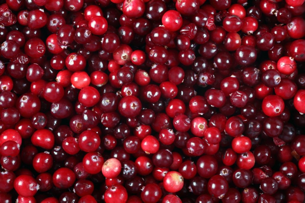 aliment-cranberries-utilisation