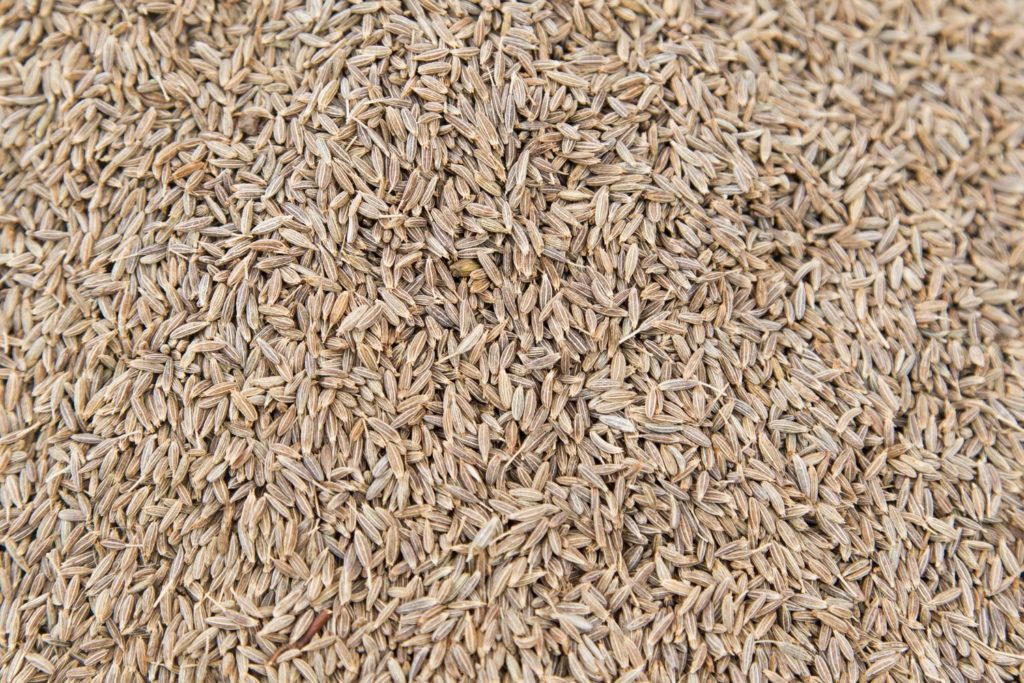 aliment-cumin-utilisation