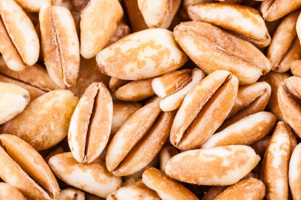 aliment-farine-d-epeautre-aliment