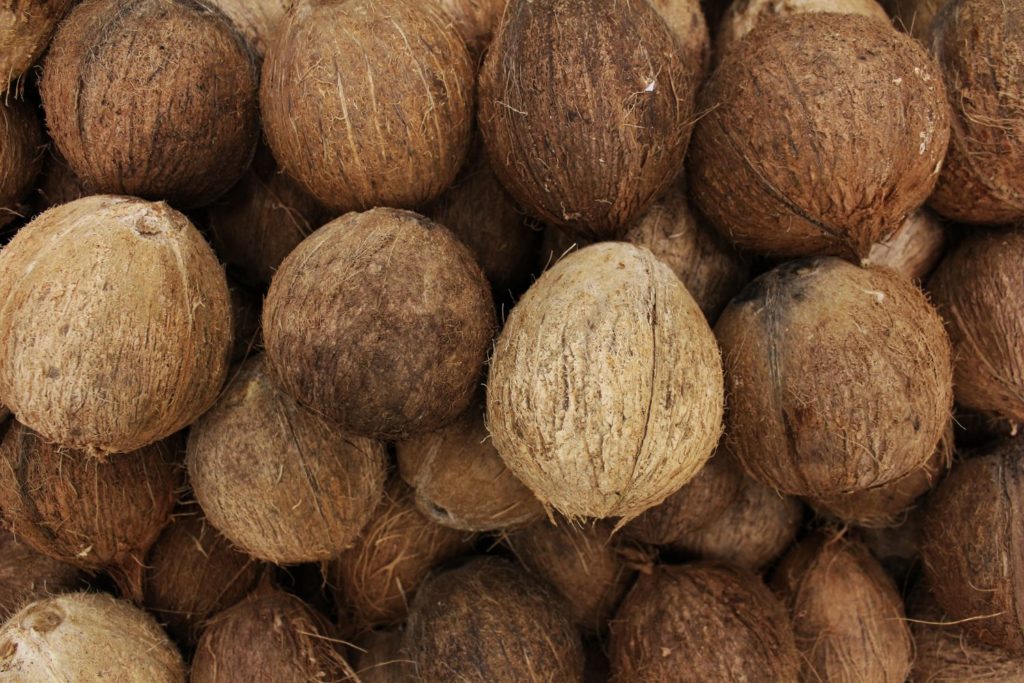 aliment-farine-de-coco-aliment