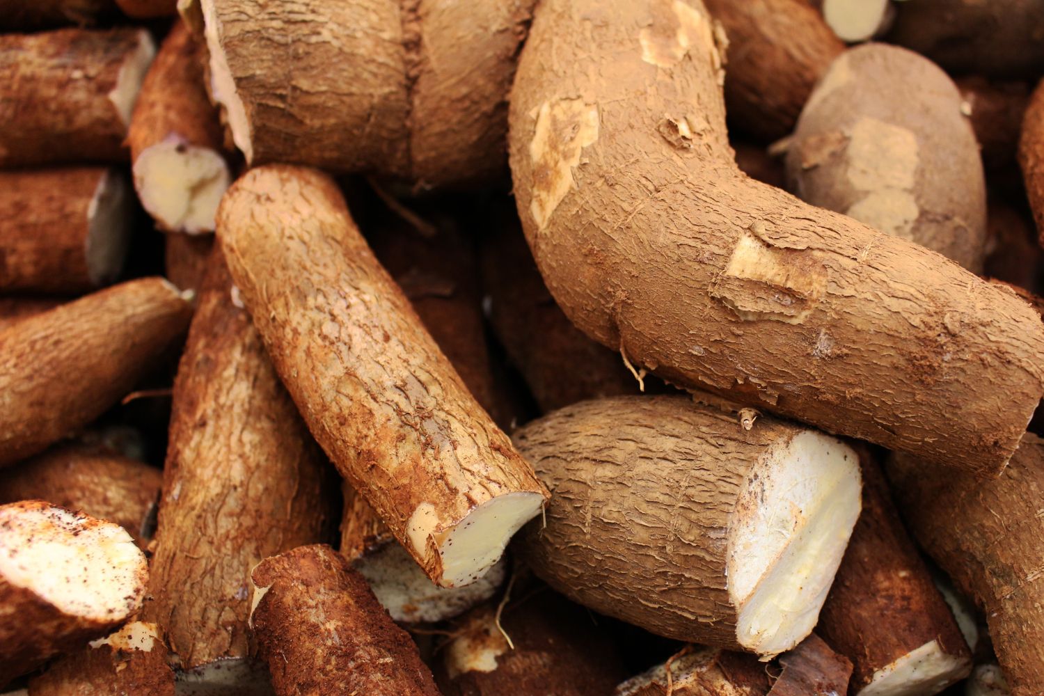 aliment-farine-de-manioc-aliment