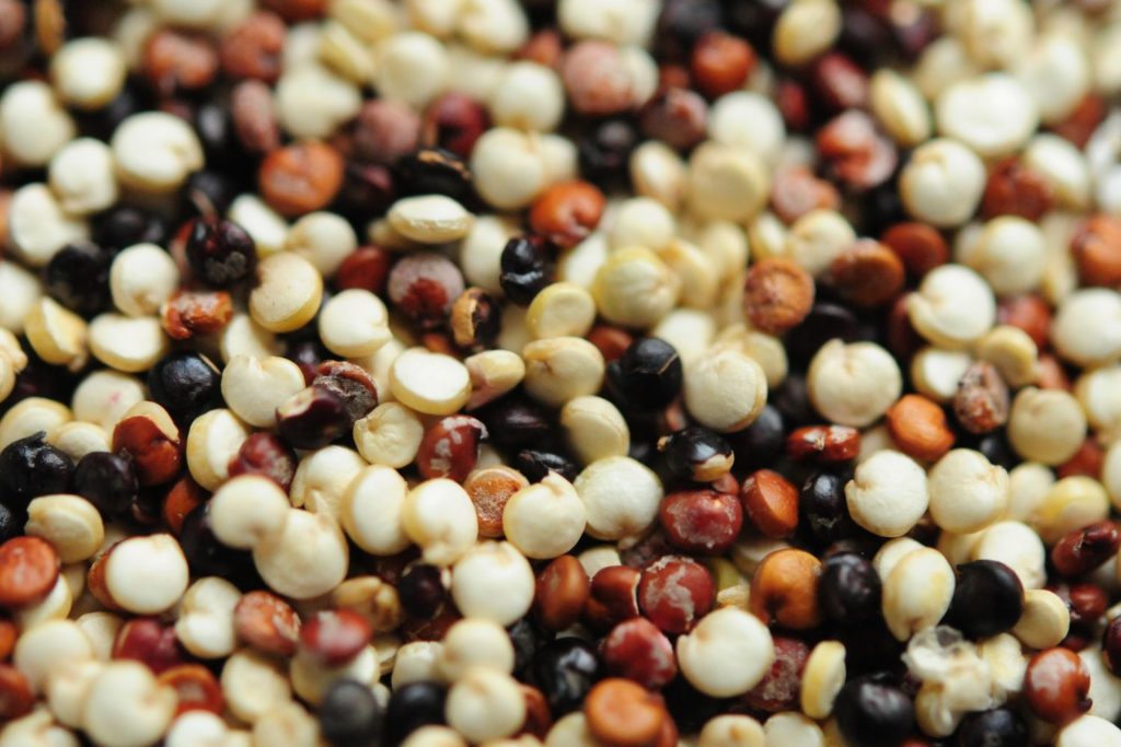 aliment-farine-de-quinoa-histoire