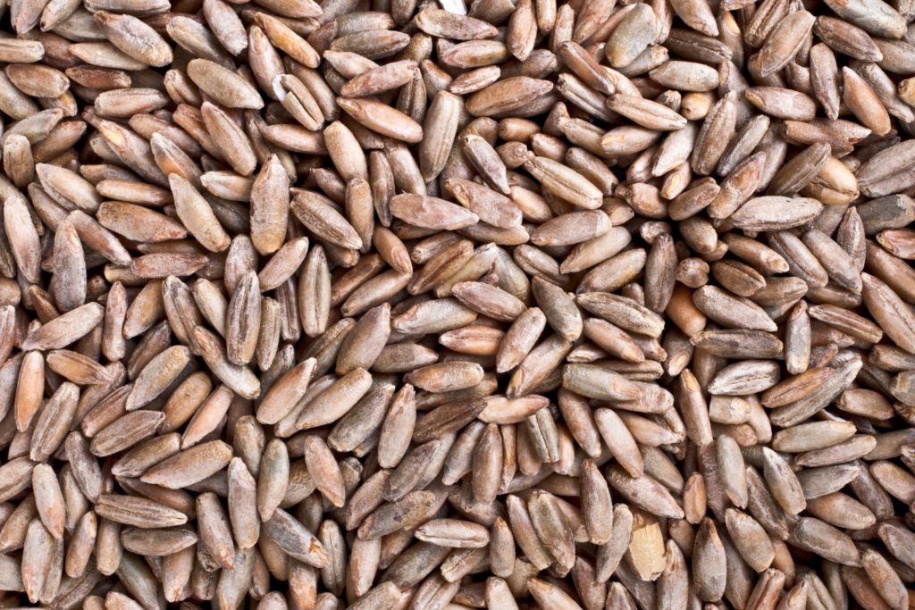 aliment-farine-de-seigle-aliment