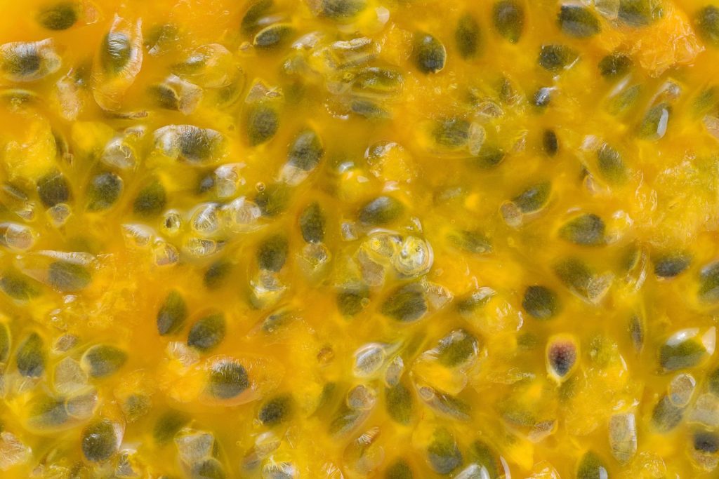aliment-fruit-de-la-passion-histoire