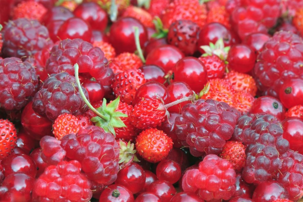 aliment-fruits-rouges-histoire