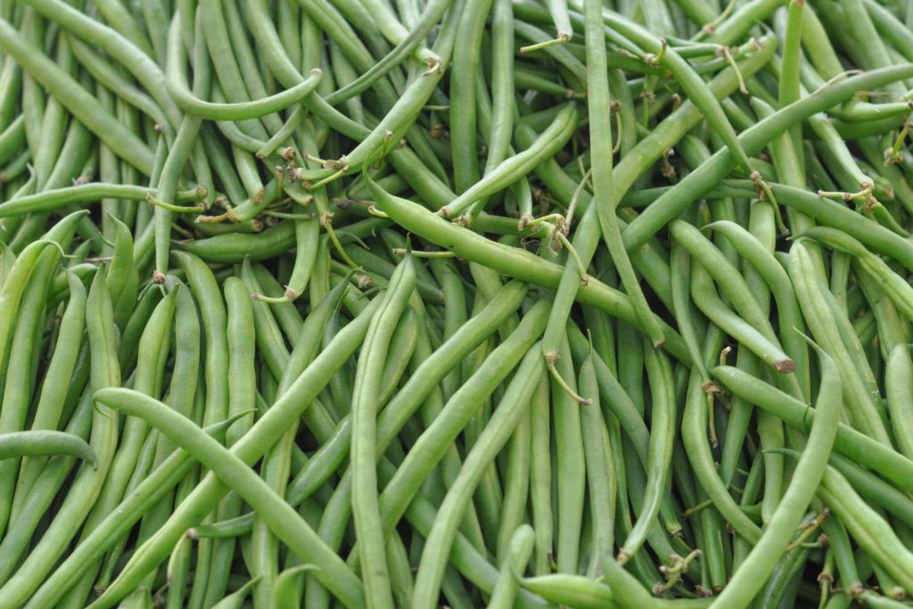 aliment-haricot-commun-aliment