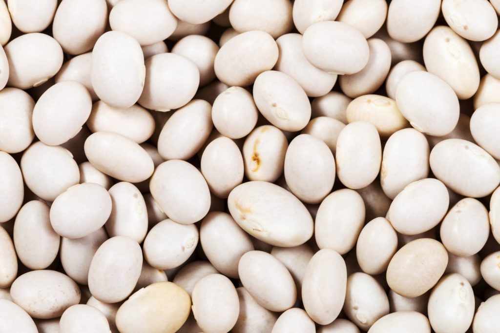 aliment-haricots-secs-aliment