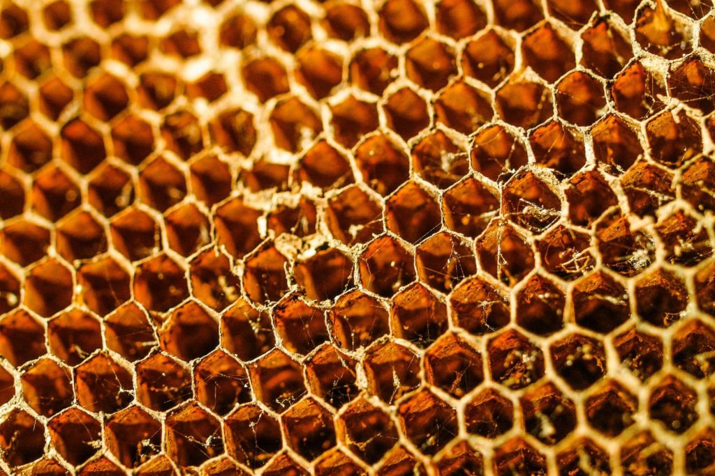 aliment-miel-utilisation