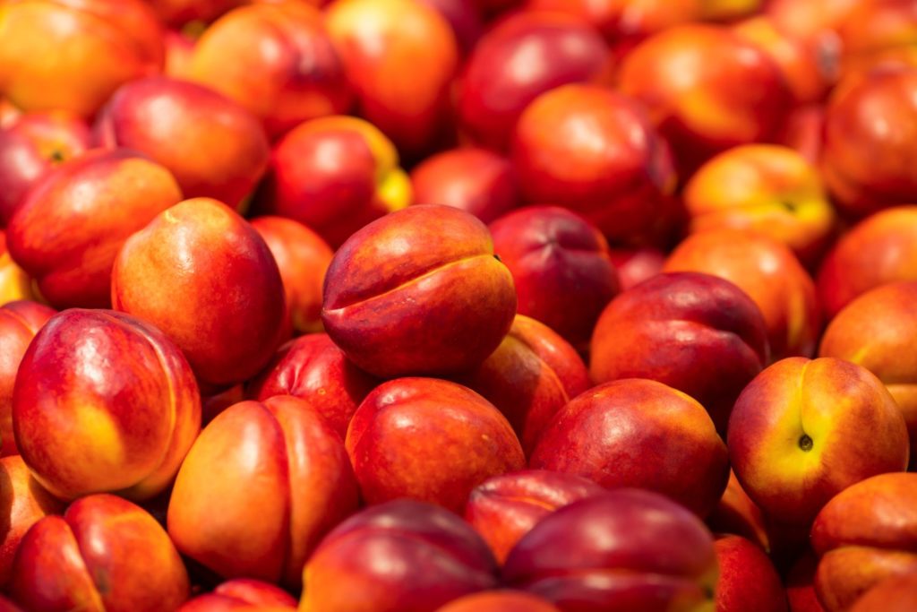 aliment-nectarine-histoire