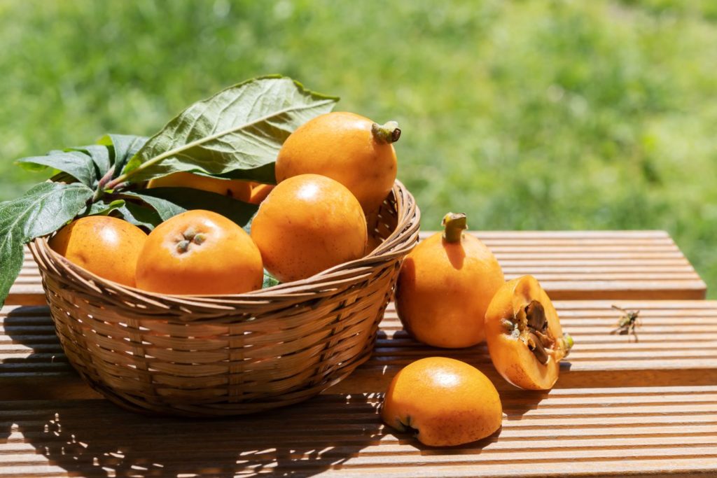 aliment-nefle-histoire