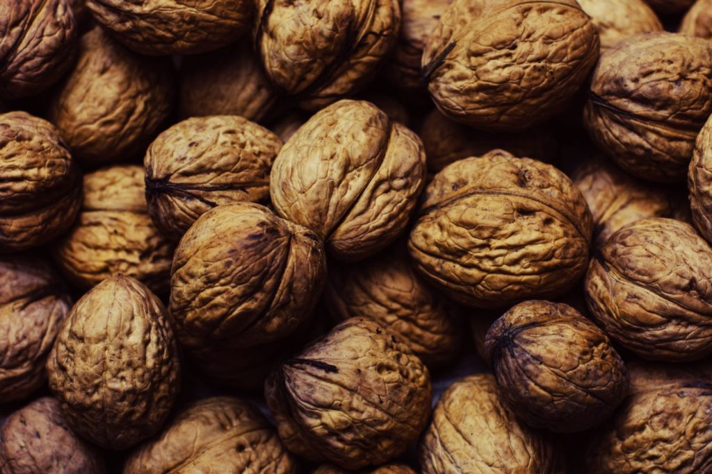 aliment-noix-histoire