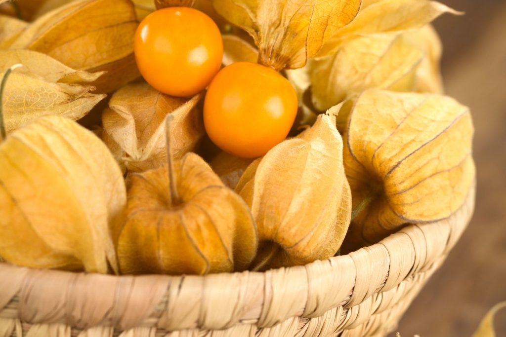aliment-physalis-aliment