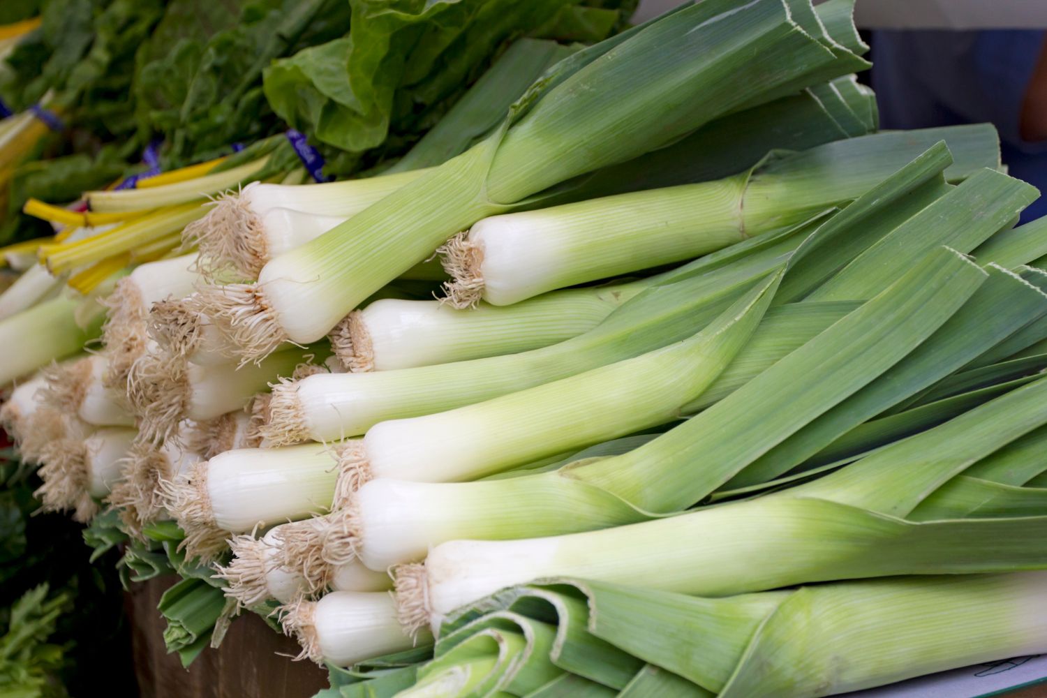 Poireau - Guide des Aliments de A à Z - France Minéraux
