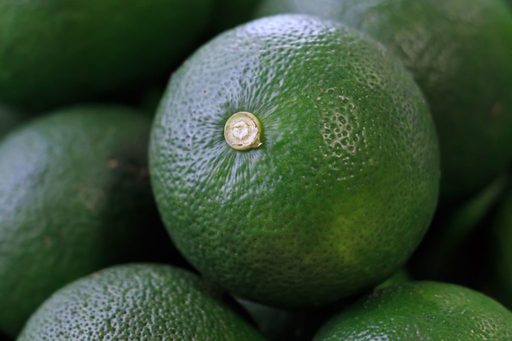 aliment-sudachi-histoire