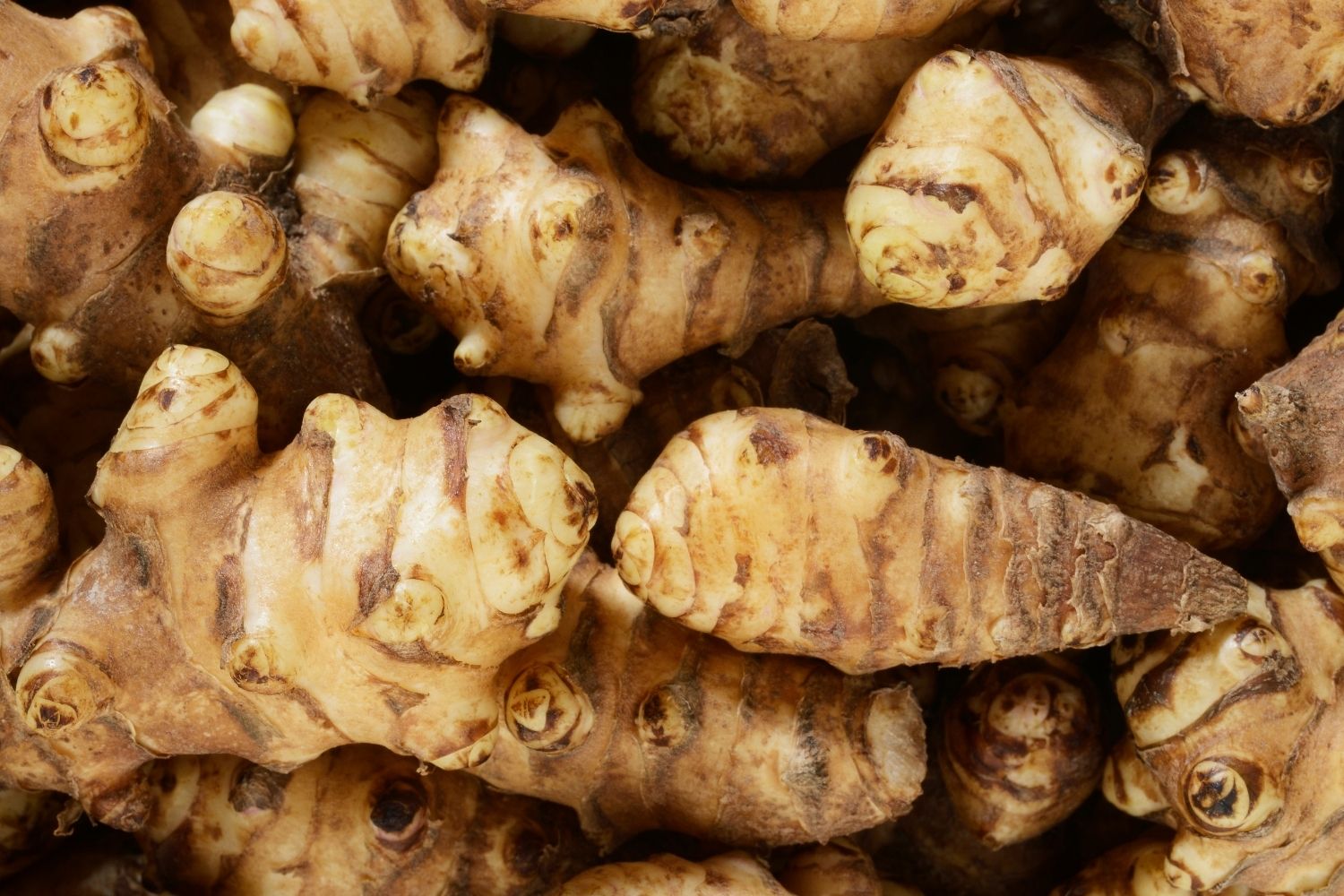 Poudre De Topinambour - 5 Kg - Complément Alimentaire Riche En Fibres - Tubercule Naturel