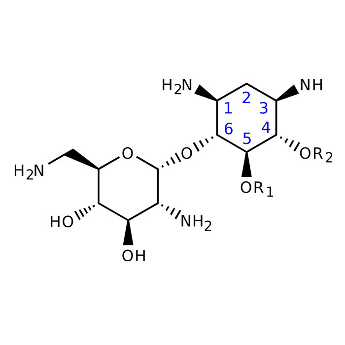 aminosides