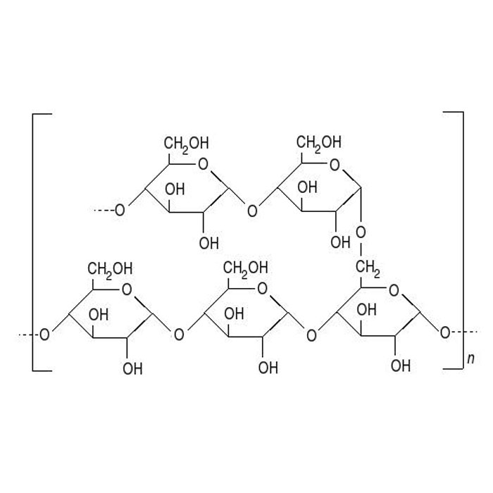 amylopectine