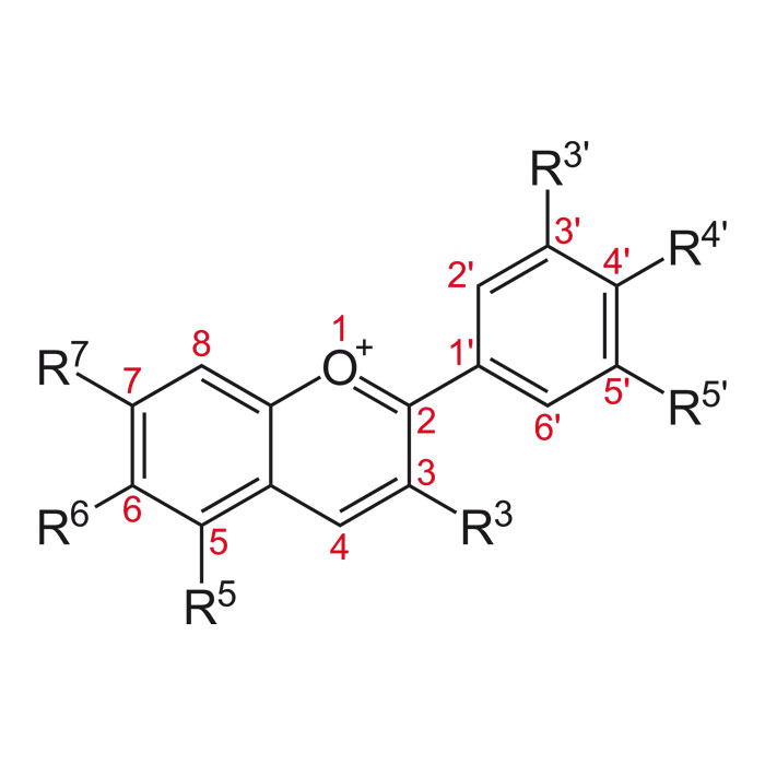 compose-phytochimique