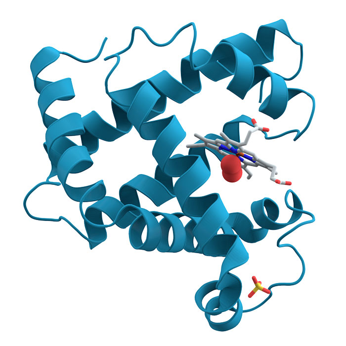 famille-des-biomolecules