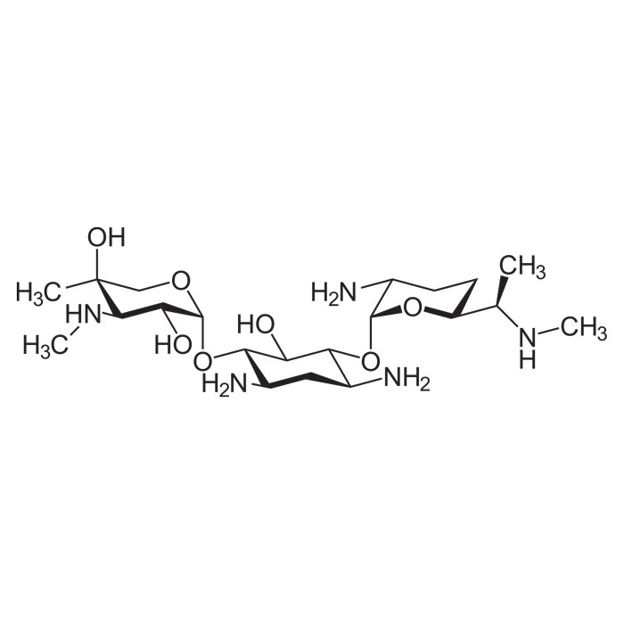 gentamicine