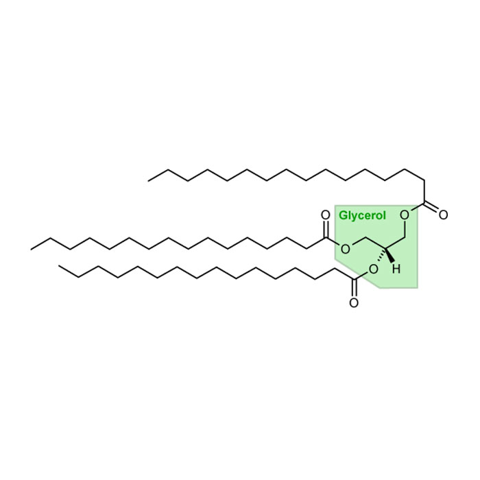 glycerides