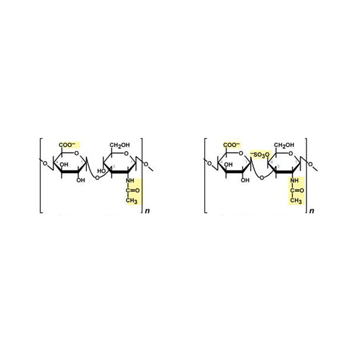 glycosaminoglycane