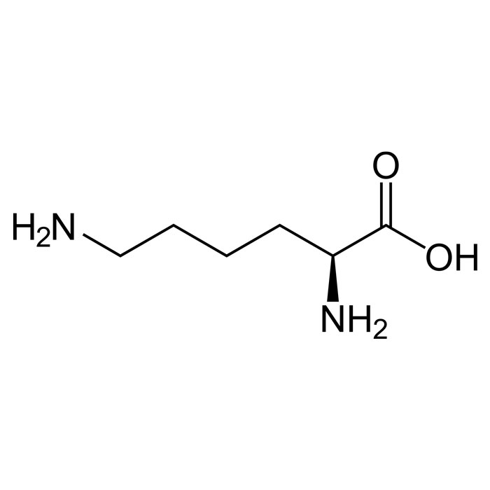 lysine