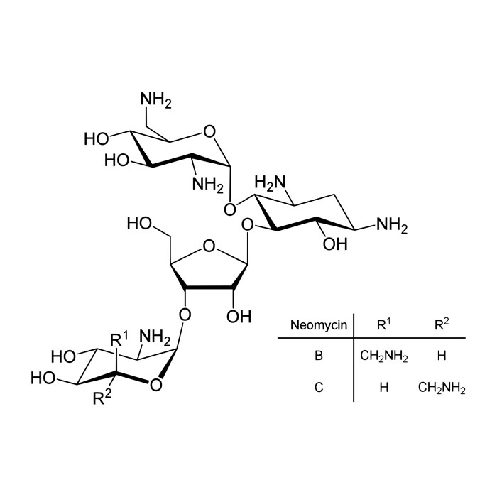 neomycine