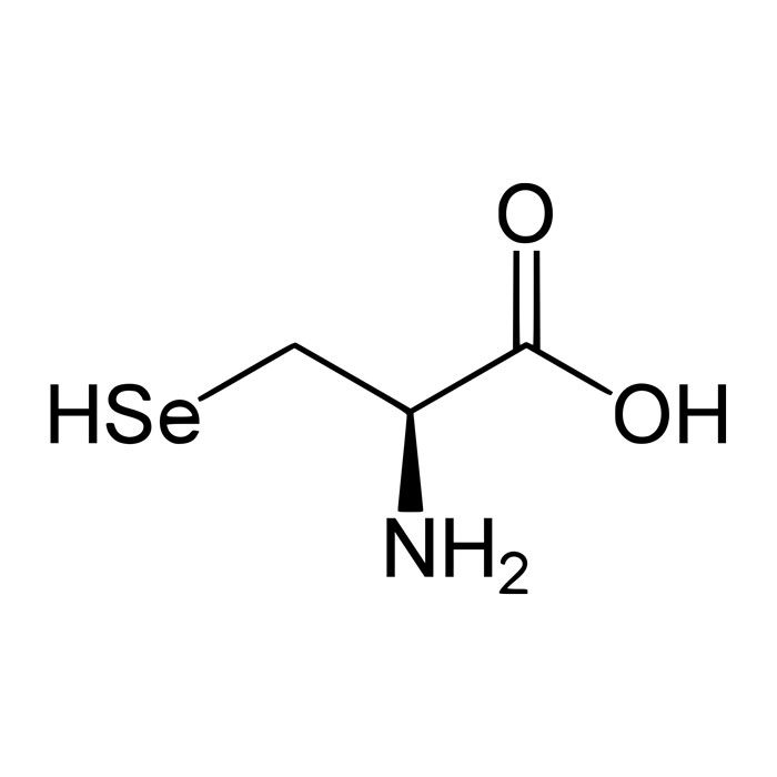 selenocysteine