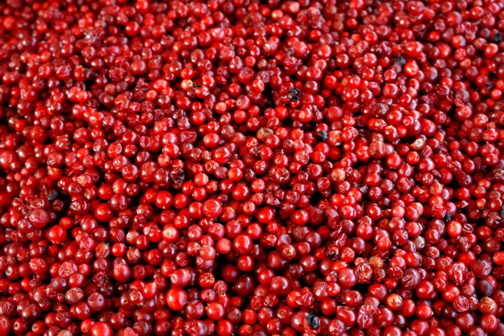 aliment-airelle-utilisation