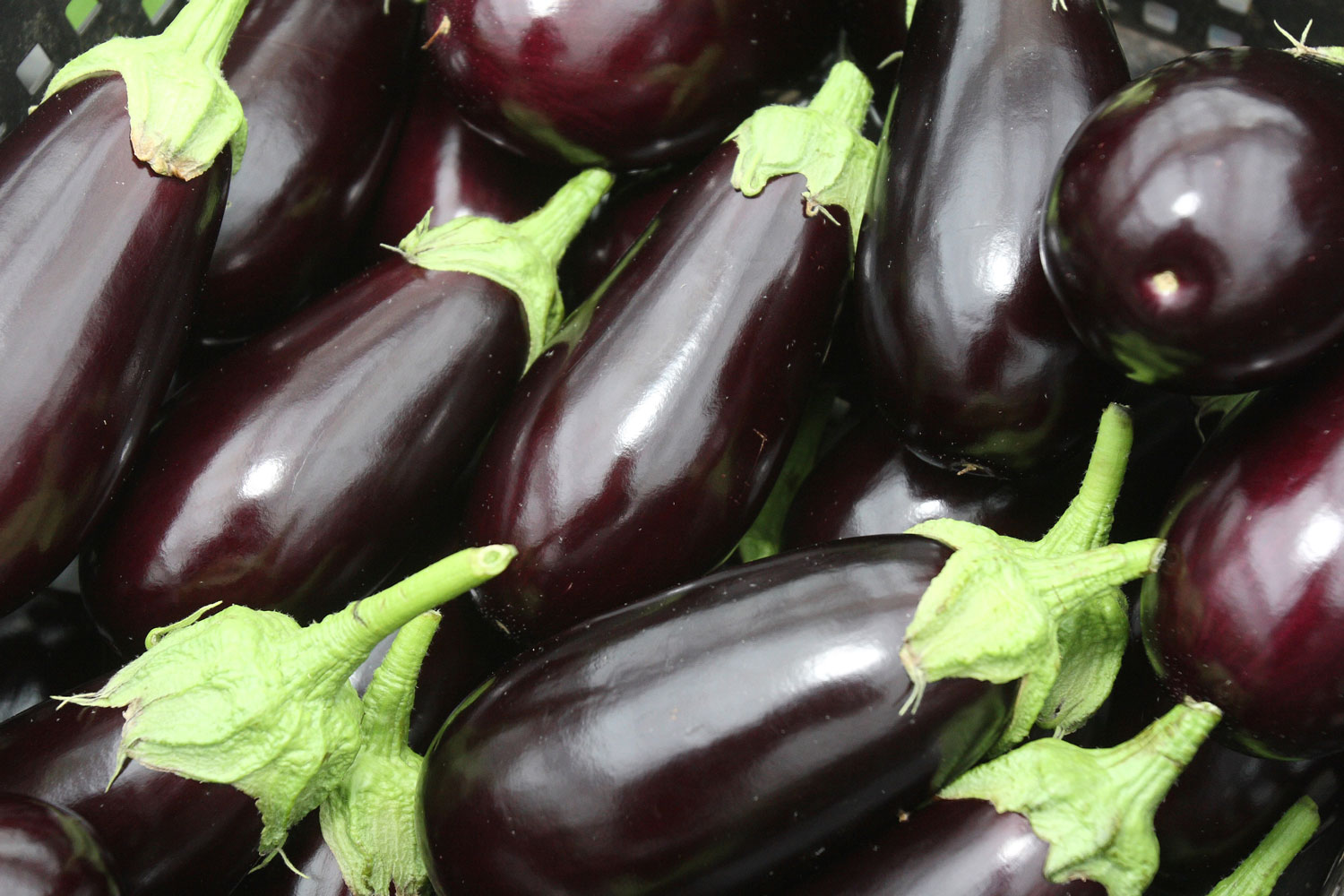 aliment-aubergine-utilisation