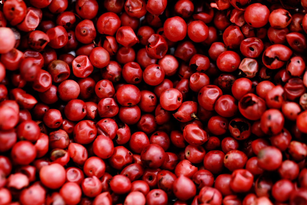 aliment-baies-roses-utilisation