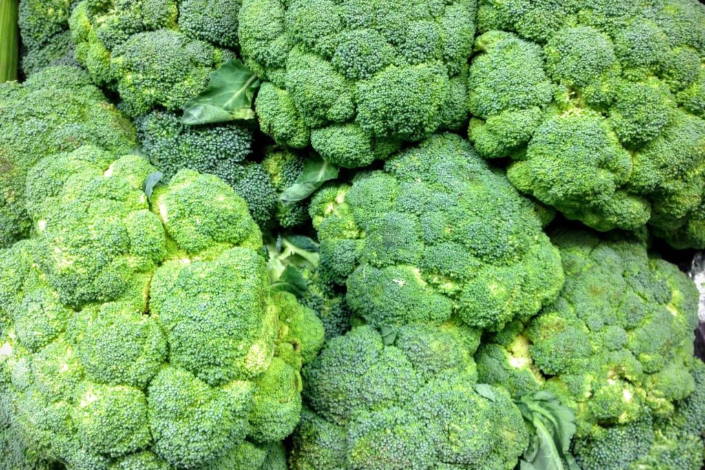 aliment-brocoli-utilisation