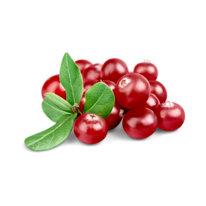 aliment-canneberge