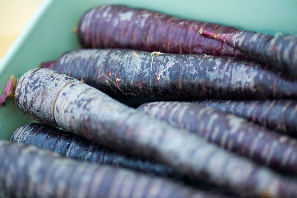 aliment-carotte-violette-utilisation