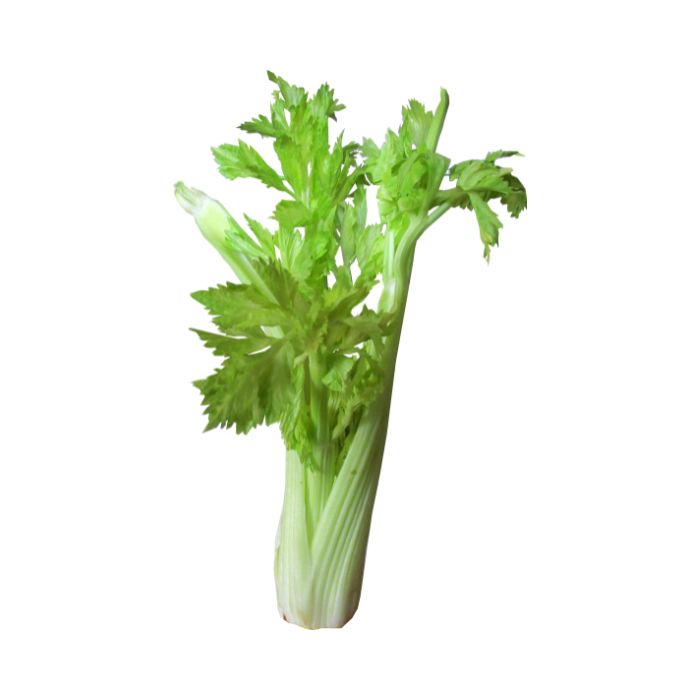 aliment-celeri