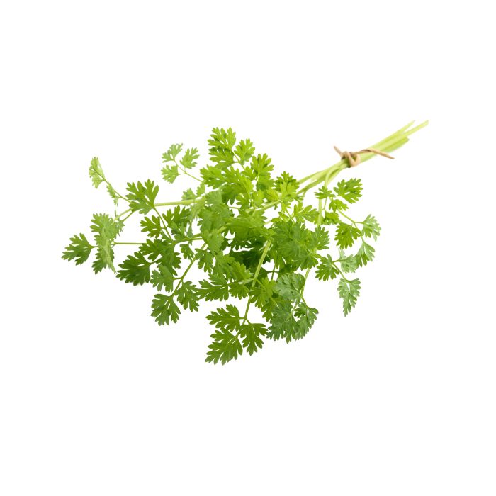 aliment-cerfeuil