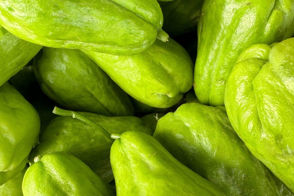 aliment-chayotte-utilisation