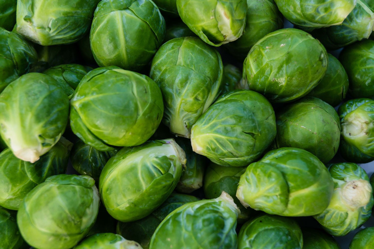 Chou de Bruxelles - Guide des Aliments de A à Z - France Minéraux