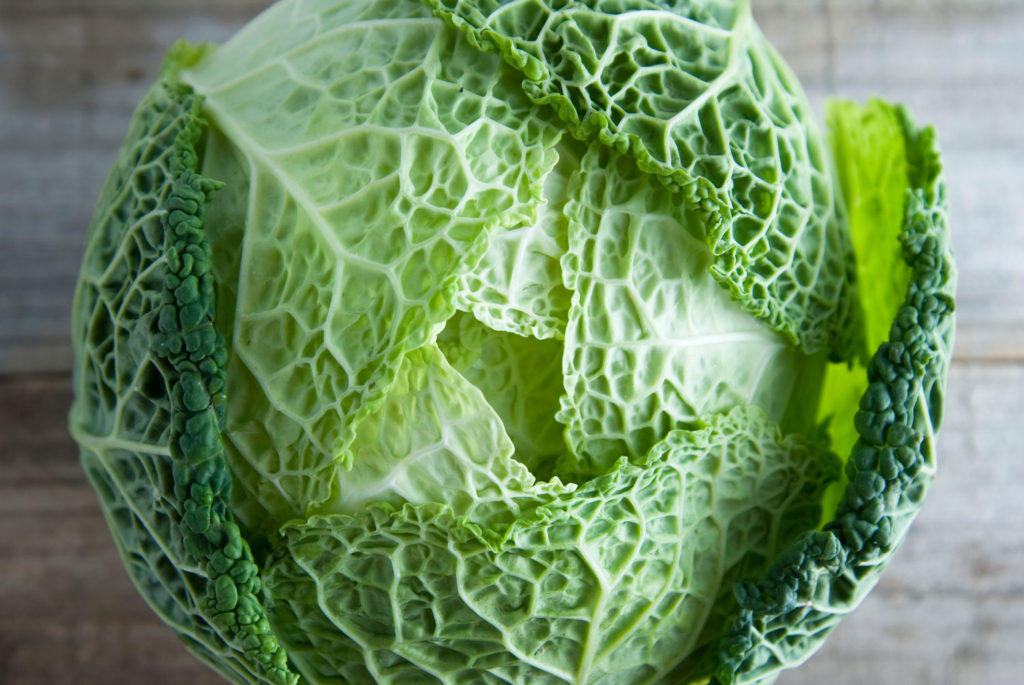 aliment-chou-frise-utilisation