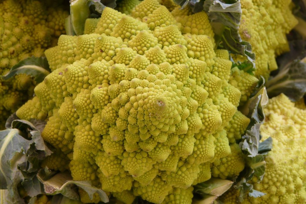 aliment-chou-romanesco-aliment