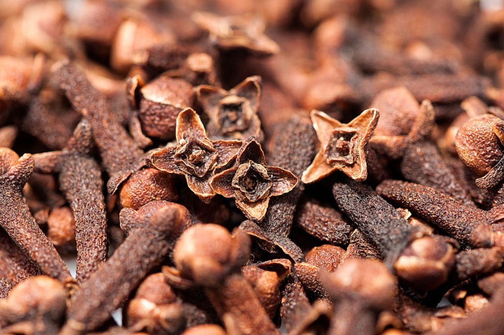 aliment-clou-de-girofle-descriptif
