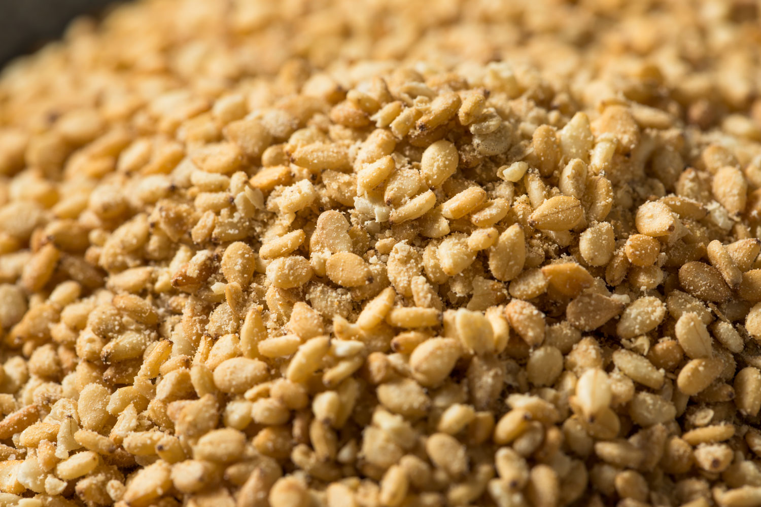 aliment-gomasio-utilisation