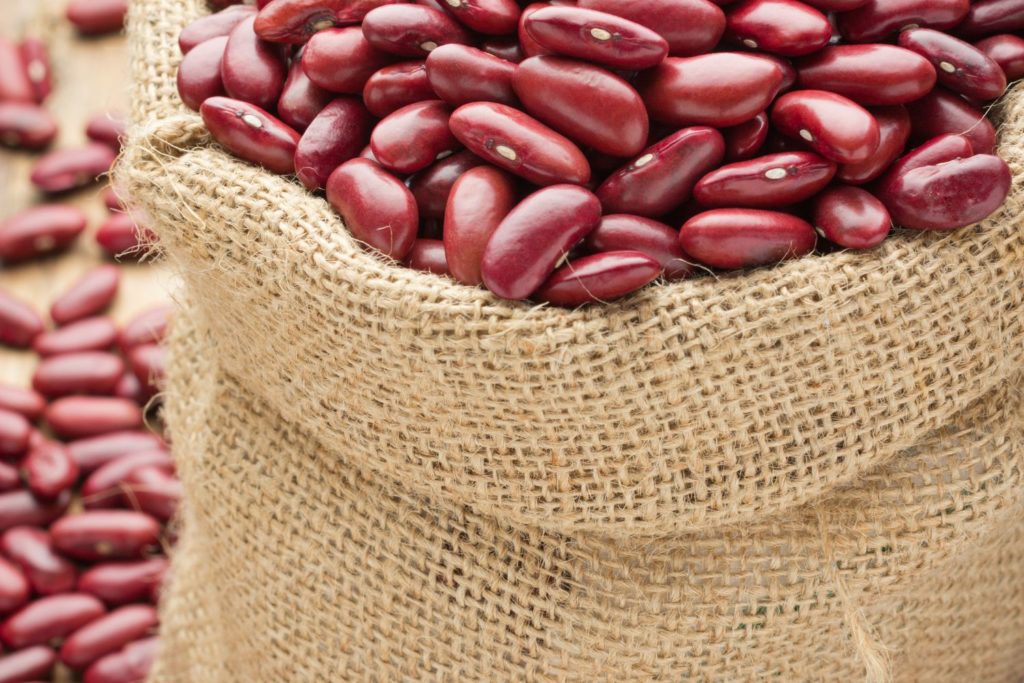 aliment-haricot-rouge-utilisation