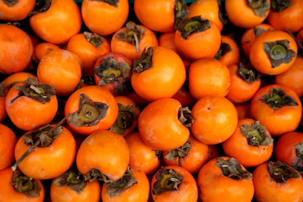 aliment-kaki-histoire