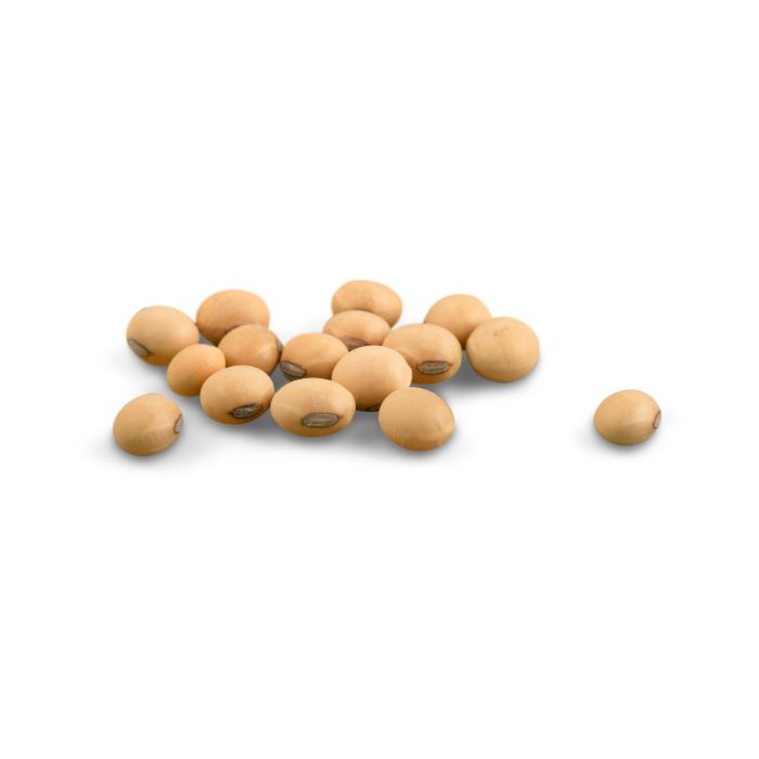aliment-lait-de-soja