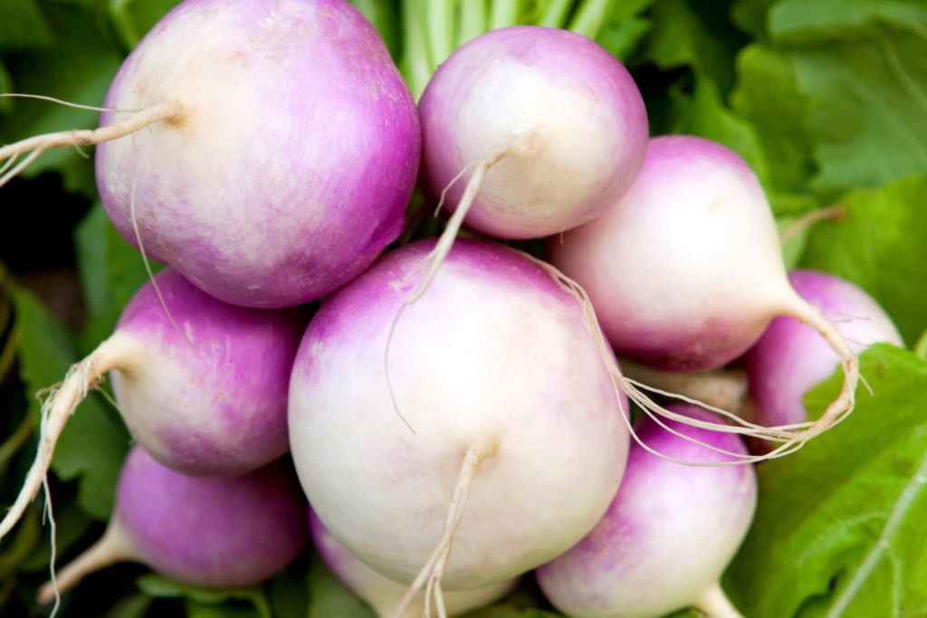 aliment-navet-utilisation