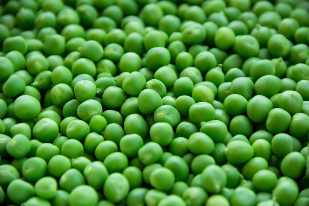 aliment-petit-pois-utilisation